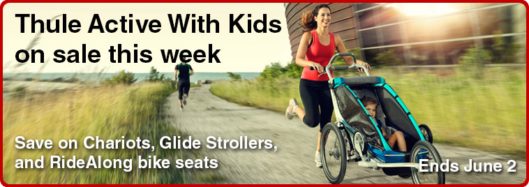 thule bike kid carrier